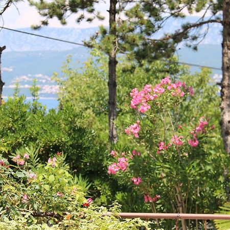 Apartments Grskovic G. Jesenovica Šilo Zewnętrze zdjęcie